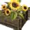 bdo sunflower crate|Special Sunflower Crate trade calculator for Black Desert Online .